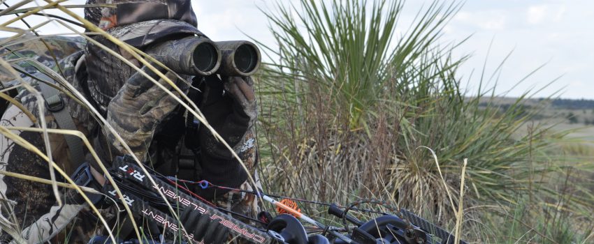 Turkey Taught Deer Skills  (13)