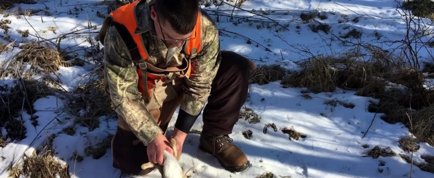 Ut_HKthATH4eww8X4xMDoxOjBzMTt2bJ