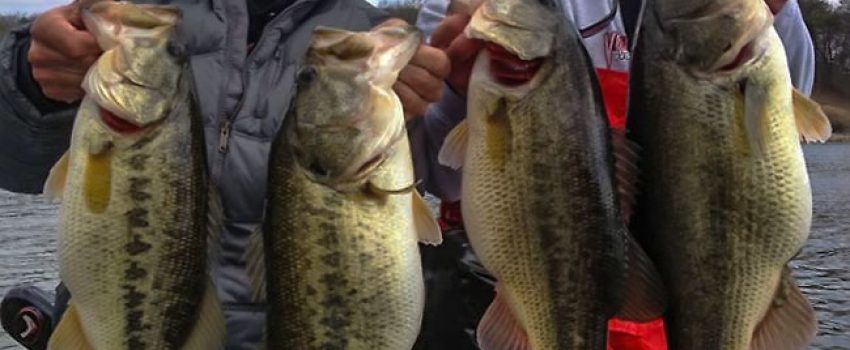 andy-morgan-frank-flack-chickamauga-bass