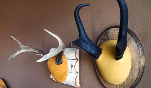 These handsome displays can be made inexpensively.