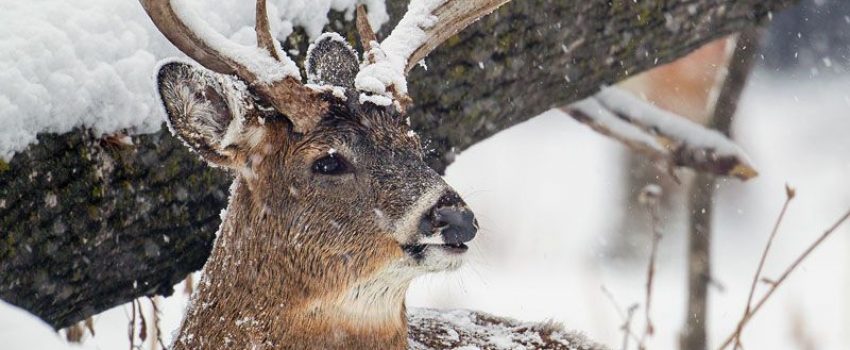 b9d899cfd991465855f83181e82ba831