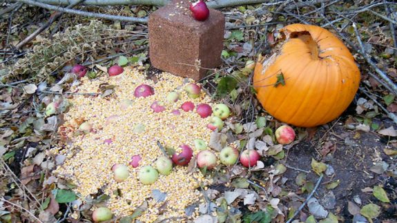 baitingsubmittedBAIT1115c1