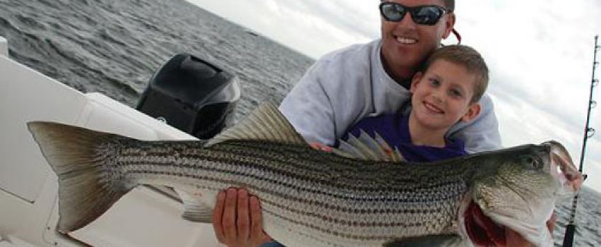 bass Photo by Maryland DNR