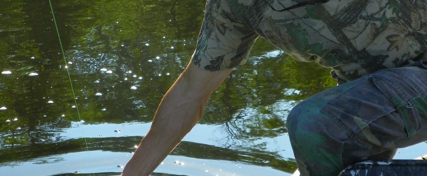 bass on topwater_