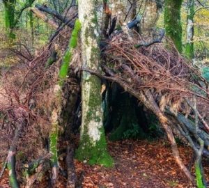 bigstock-Woodland-Survival-Shelter-78713354-620x330