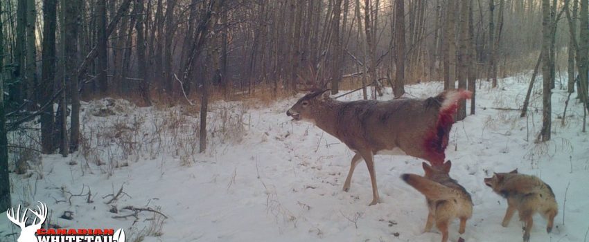 Words cannot describe the pain.