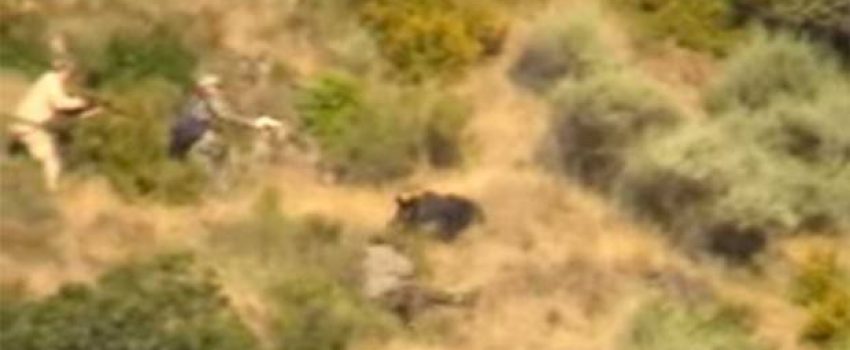 ftd-chargboar-620x330