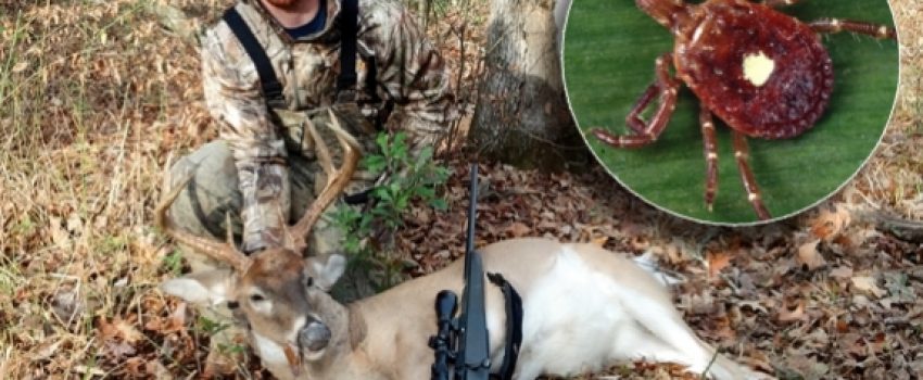 Spring season is also tick season and it's important to take precautions.