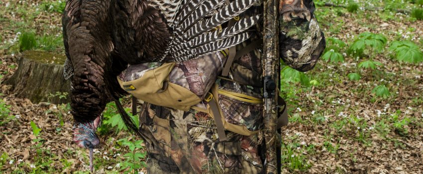 View More: http://howardcommunications.pass.us/hcphotolibrary