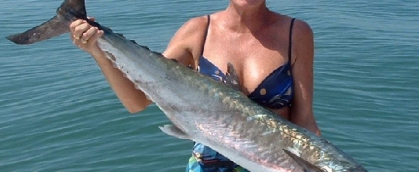 king-mackerel-fishing-571x443