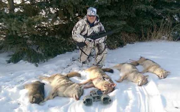 Hunting during a full moon can pay big benefits on coyotes.