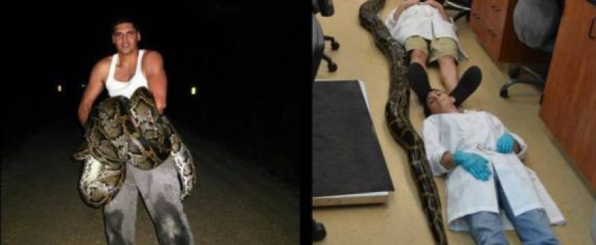 o-JAMES-LEON-PYTHON-570