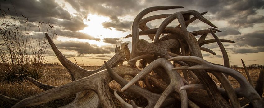 ph_sunset-shed-pile1