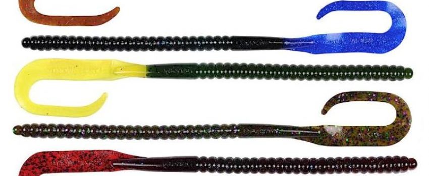 power-worm Photo by Fishhound.com