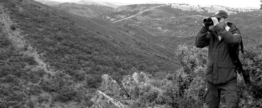victory-binoculars-mountain-hunting_980x308