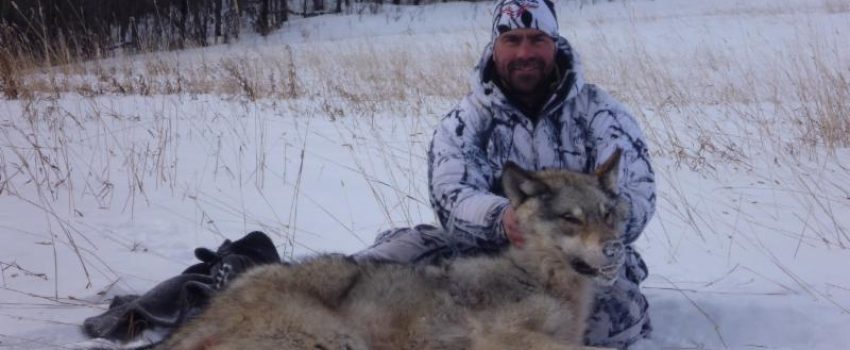 wolfcda4abfe-1378-4422-9bab-5ce3f6fc919b